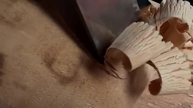 A piece of wood