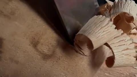 A piece of wood
