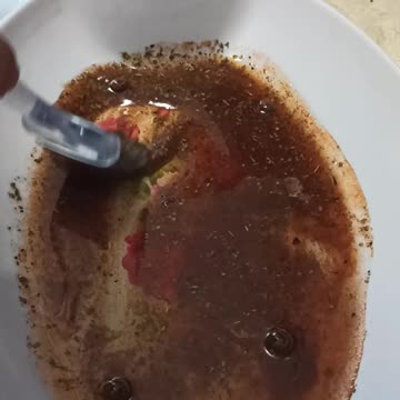 Meat put into marinate