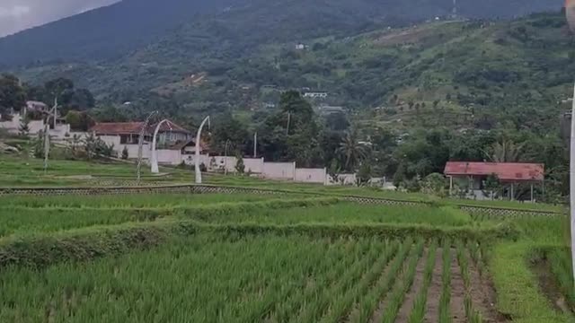 Village Resort Backyard view
