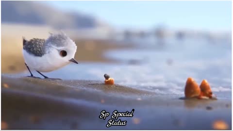 Aww.. so cute baby 🐦