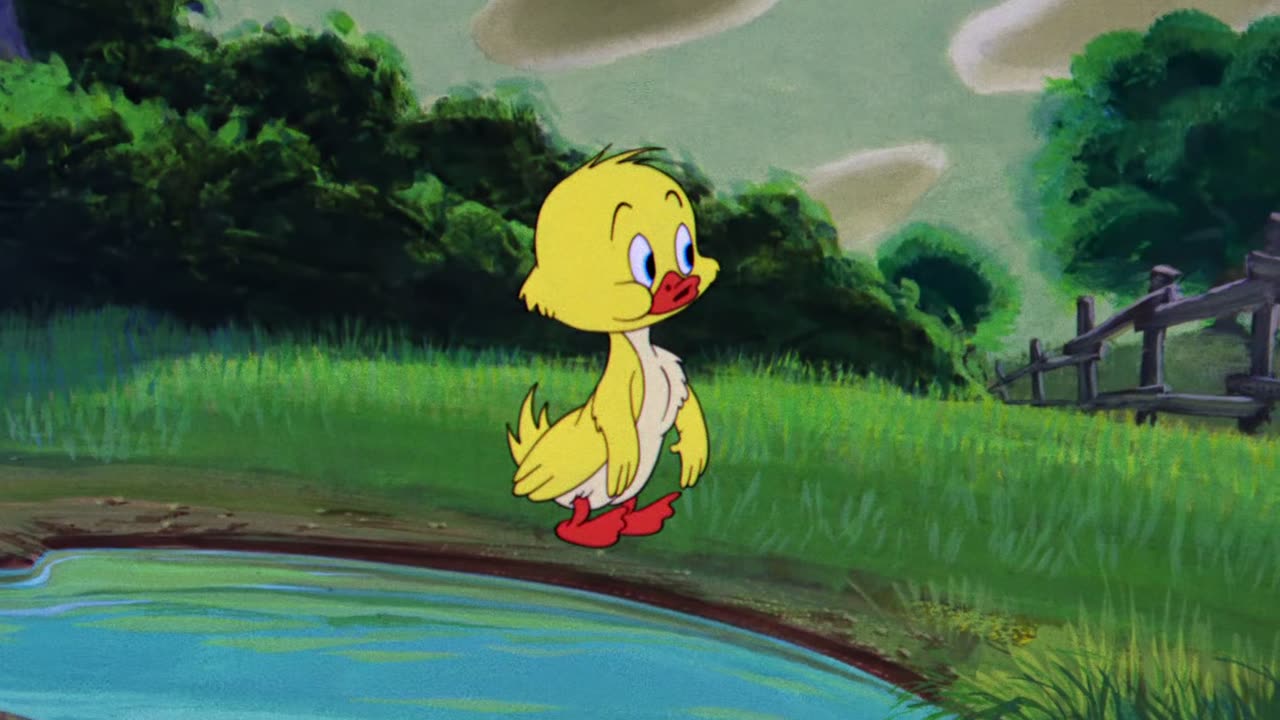 MGM Cartoons - 1954x16 - Downhearted Duckling