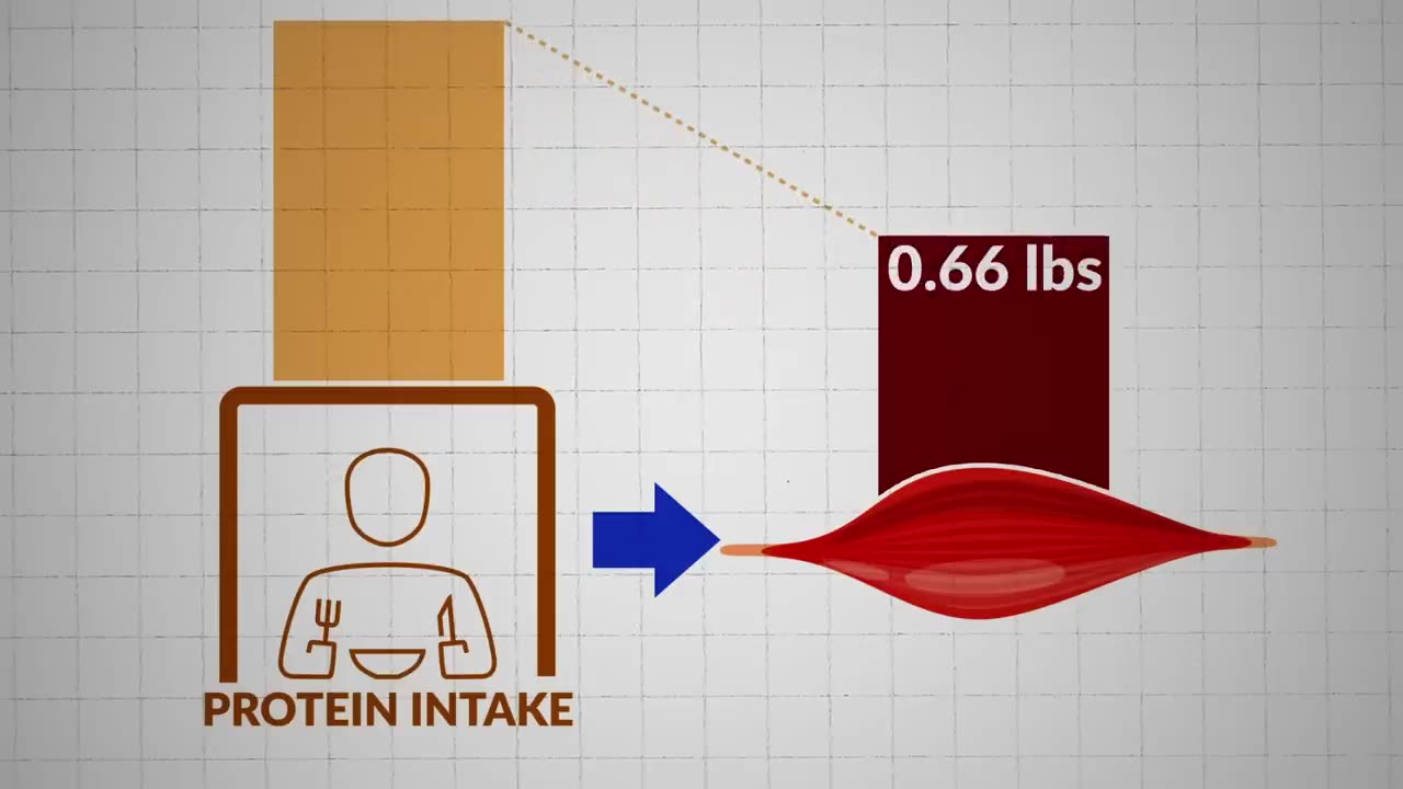 The BEST Way to Use Protein to Build Muscle (Based on Science)