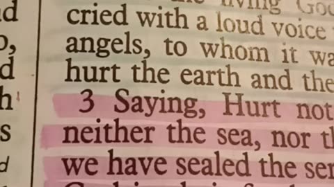 The 1️⃣2️⃣ tribes 👨‍👩‍👧‍👦of Israel 🇮🇱🧍🏼. Part 1