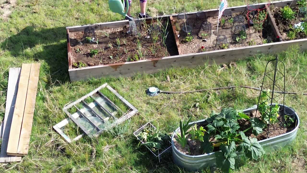 Allyson gardening... again!