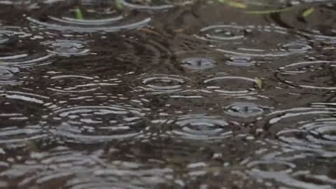 Rain Sound Relaxation / Ultimate Stress Relief, Deep Sleep, Meditation