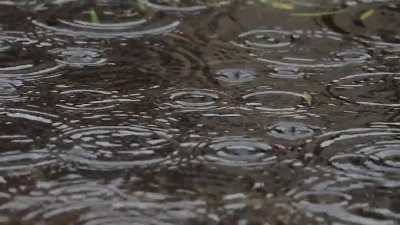 Rain Sound Relaxation / Ultimate Stress Relief, Deep Sleep, Meditation