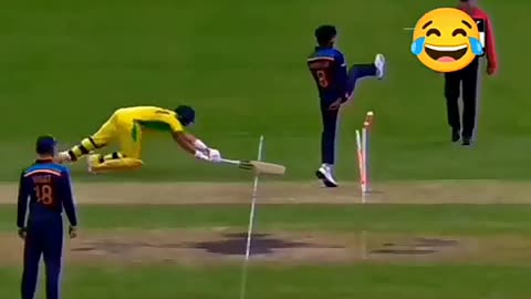 Funny cricket video