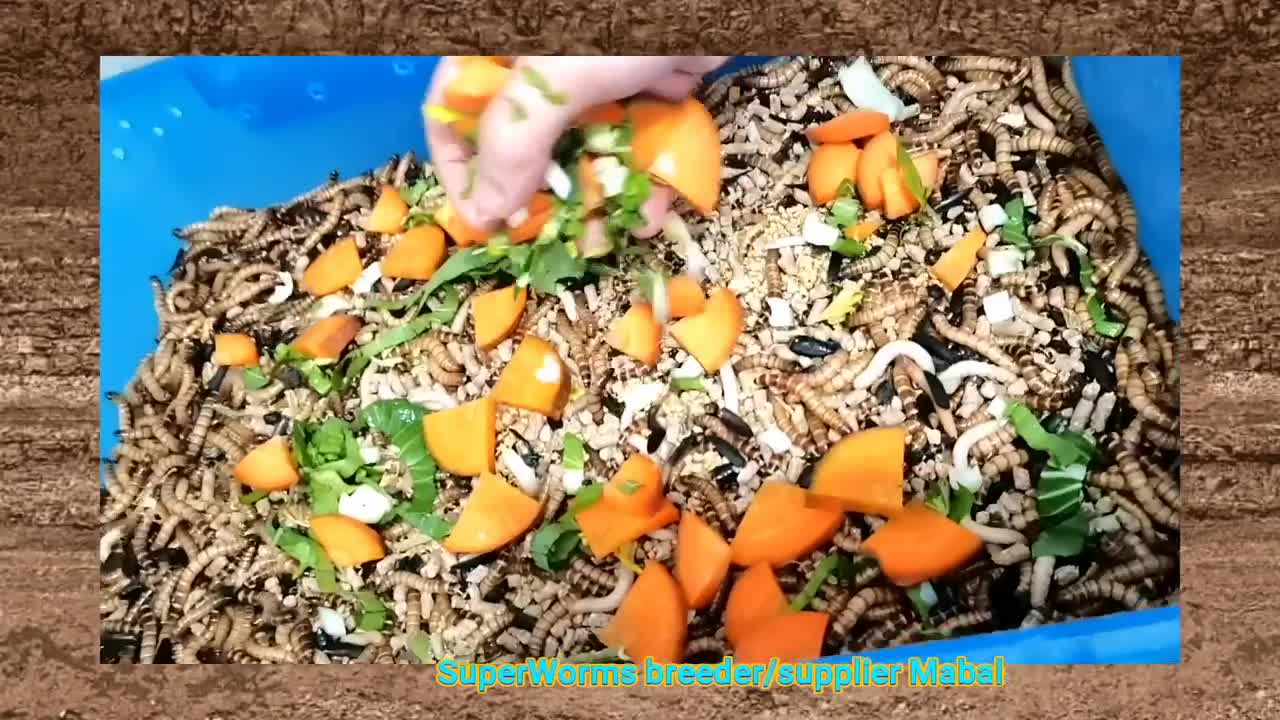 Super Worm