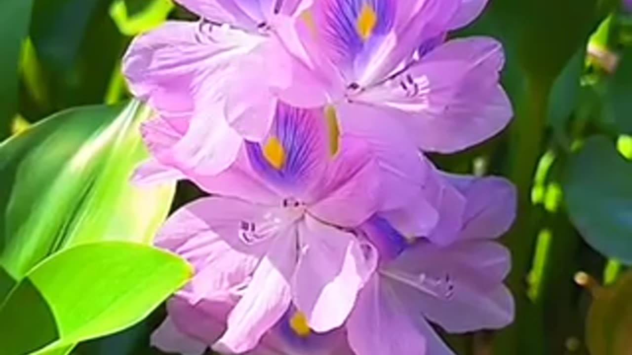 In Vietnam