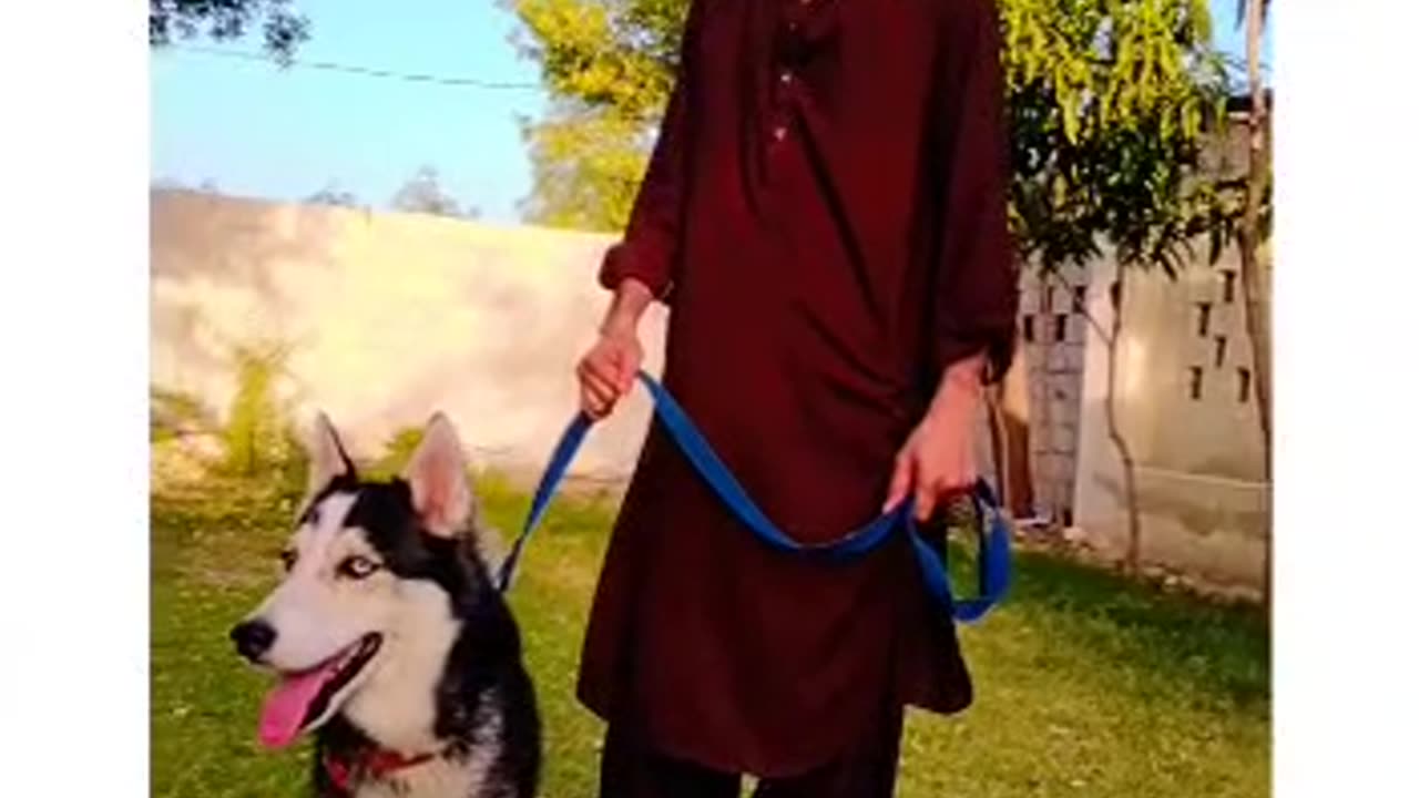 My#doggy#🐕 videos _lovely_ doggy"