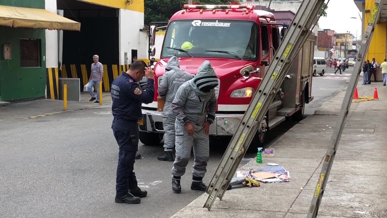 Así es el método con el que los Bomberos salvan a las abejas de Bucaramanga