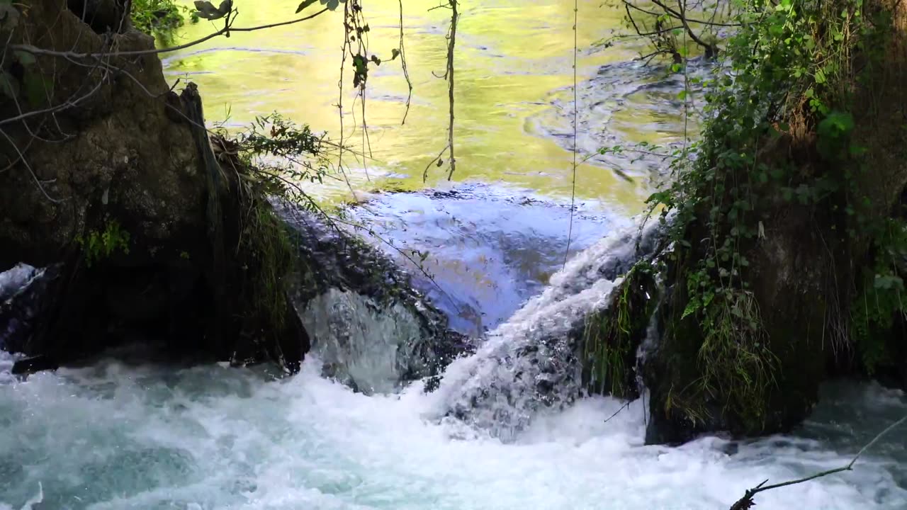 Amazing Nature Scenery & nature lover 🐦Beautiful Nature