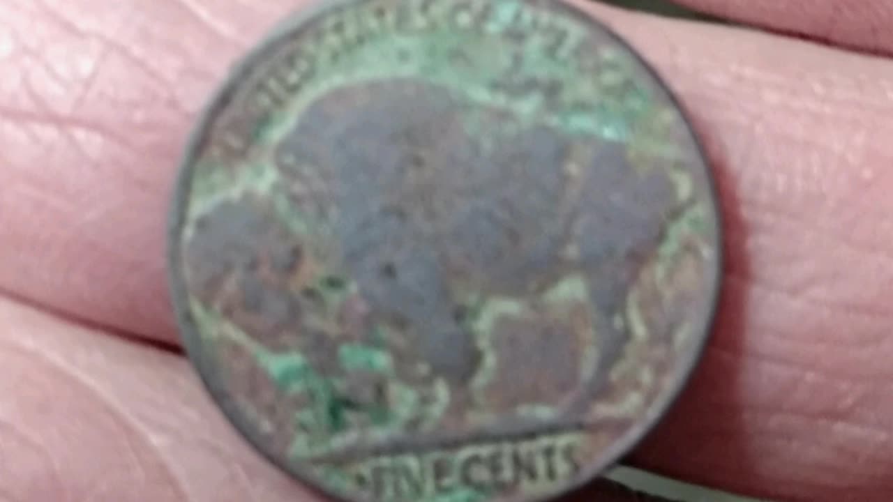 Nice Buffalo Nickel Found