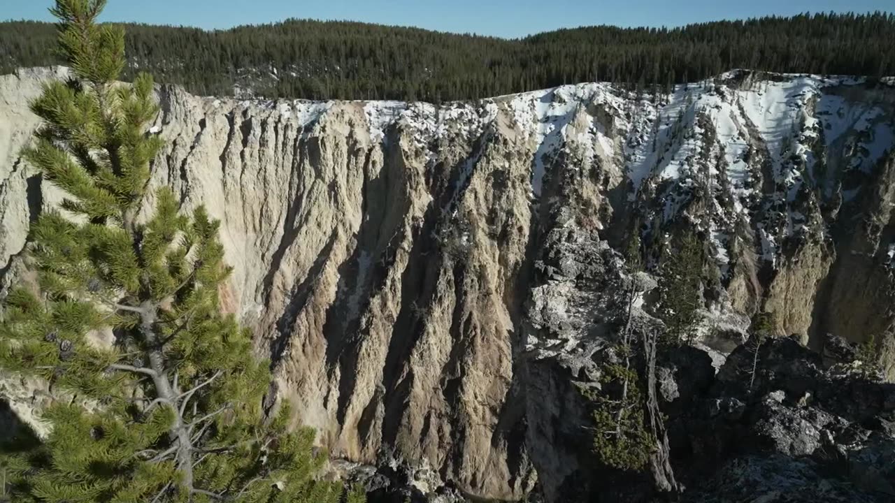 Woman found dead near Yellowstone after apparent grizzly bear encounter