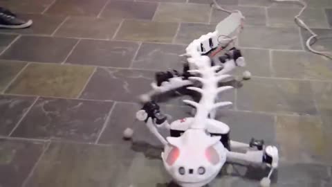 robotic animal innovations