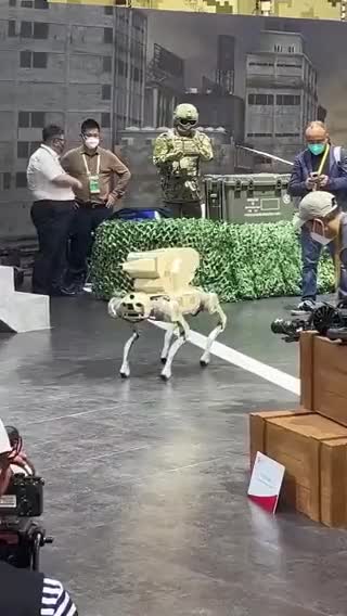 Κίνα παρουσιάζει το σκυλί ρομπότ με αυτόματο κανόνι.