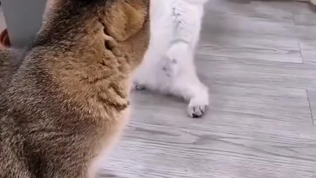 Nothing's going on here...I'm just passing by...ππΎπ