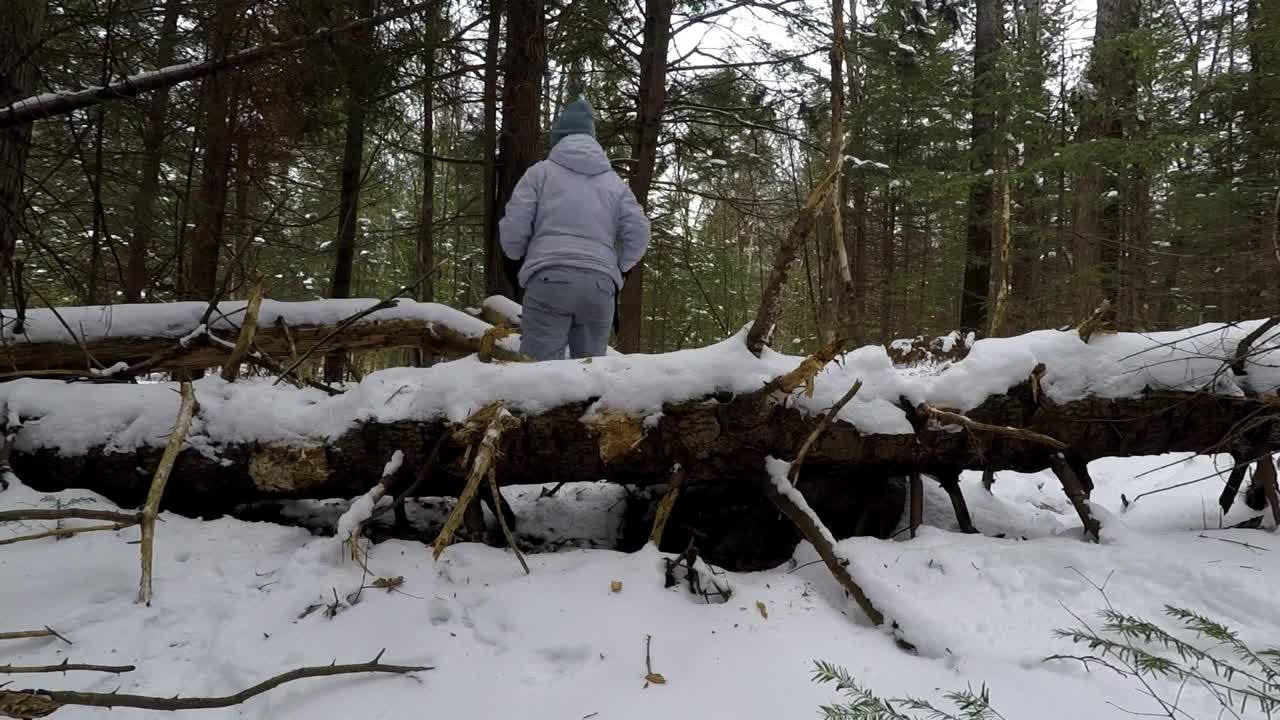 Winter Bushcraft: Camping with my Husky (-20⁰C)-10