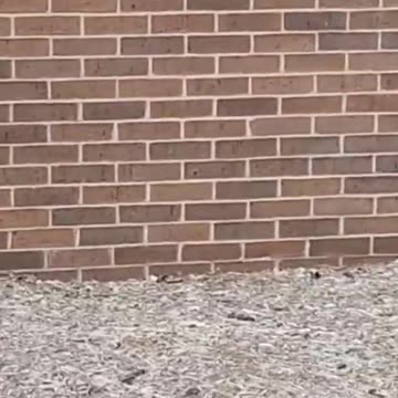 Click the link to subscribe to the Null channel - https://bit.ly/nullyoutube #shorts #karen