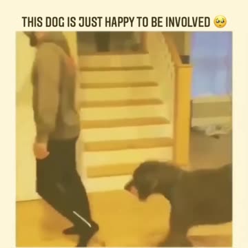 WE WISH YOU AND YOUR DOG PET THE BEST DAY GOOD DAY http://bit.ly/countyourblessu