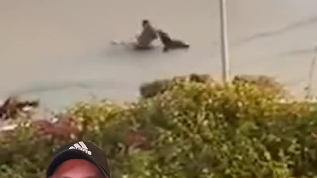 This is Why YOU Never Touch a wild Seal or Sea Lion