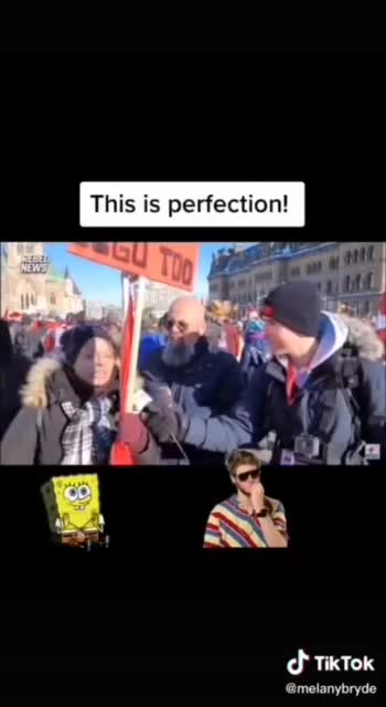 SNC Lavalin scandal explained perfectly by a racist misogynist