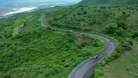 Tree covered hill