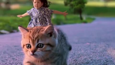 funny animals video