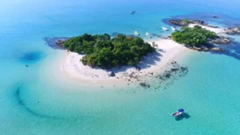 Mgtow Tatuado - Não se iludam homens MGTOW s nós seremos uma minoria