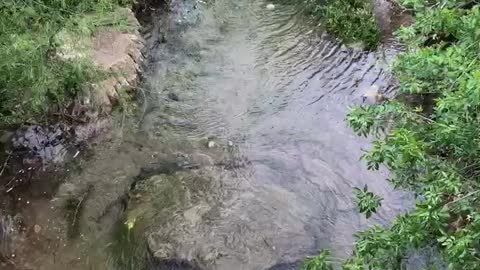 Tonkawa falls supplemental. River before the falls.