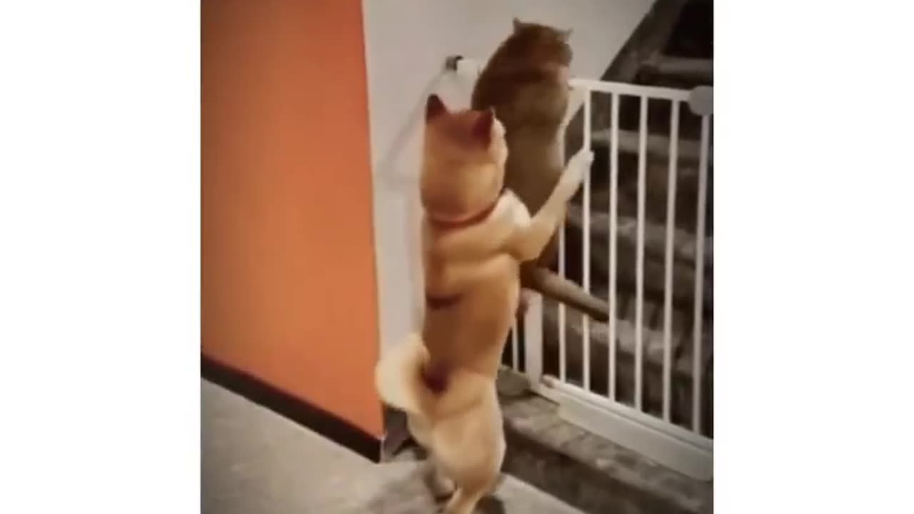 The helpers 😆😆😆😄