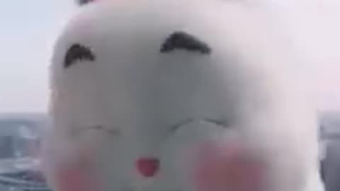 Cute green rabbit Tiktok _Bunny Rabbit what is this_! #shorts #21 @emilyhchannel3303