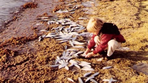 A Seaside Miracle