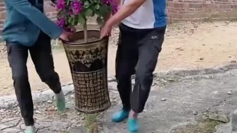 Very funny new video 😹