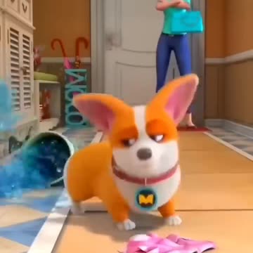 funny video 😻#shorts #short #youtubeshorts #viral #funny #trending BubbleFeed