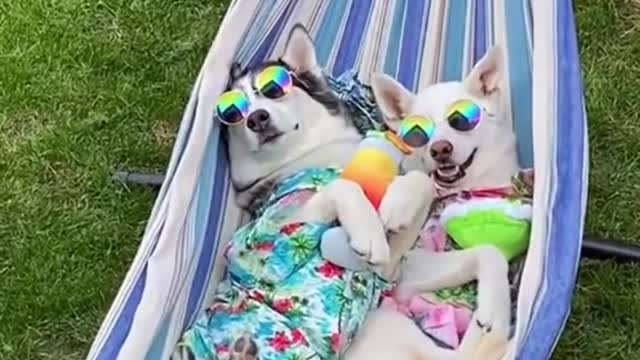 They're on break