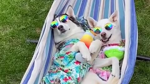 They're on break