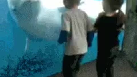 whale in aquarium scares kids.