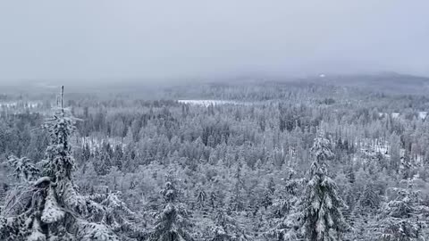 #beautiful #train ride in the #snow