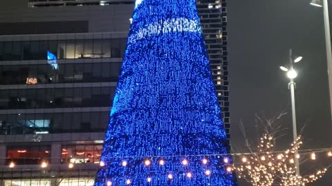 Massive Tree Vaughan Subway station