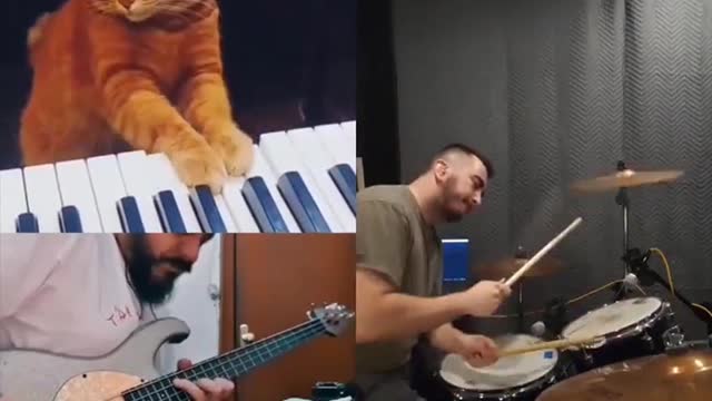 1856. 😮These Cats 😍 🐈