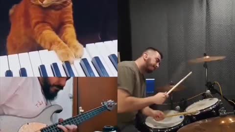 1856. 😮These Cats 😍 🐈