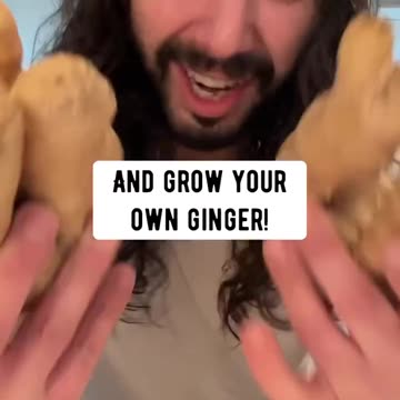 How To Grow Ginger At Home By Creative Explained