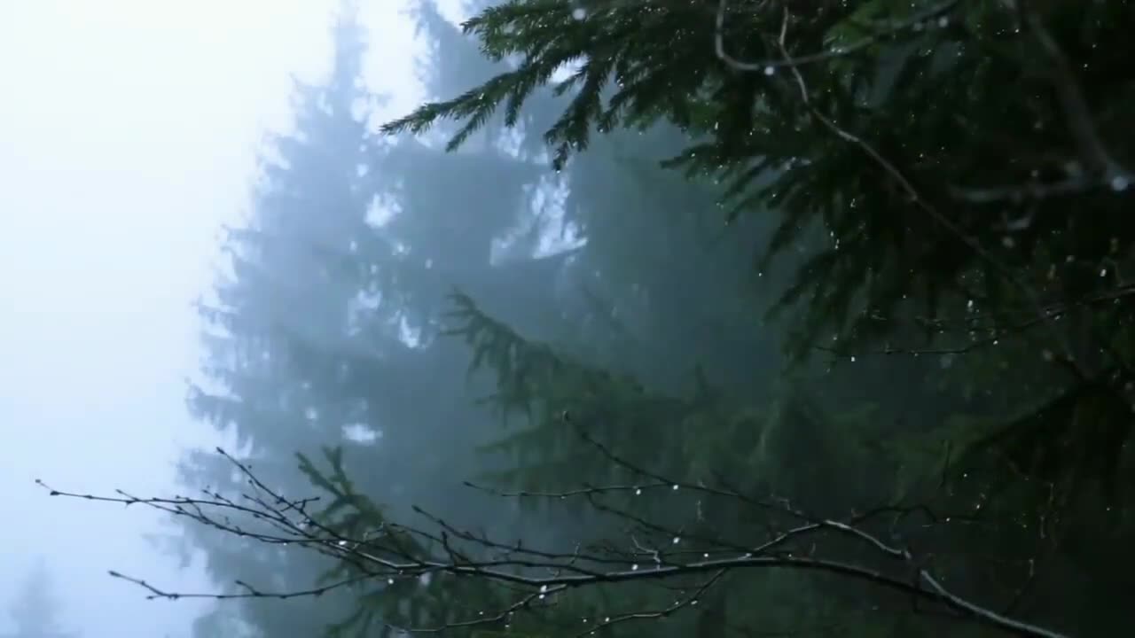 One and a half hour of relaxing, wind, rain sounds that will make you sleepy very fast ASMR.