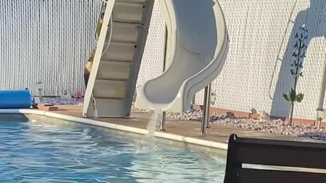 It's a funny disaster