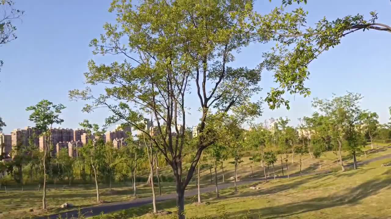 I heard that there are five gardeners in Grandpa's private park