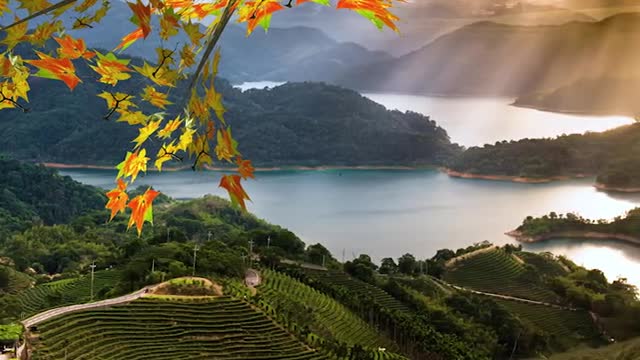No matter where you go, please set off with a sunny mood.