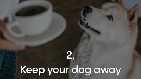 Tips To Keep Your Doggo Paw-Fectly Healthy