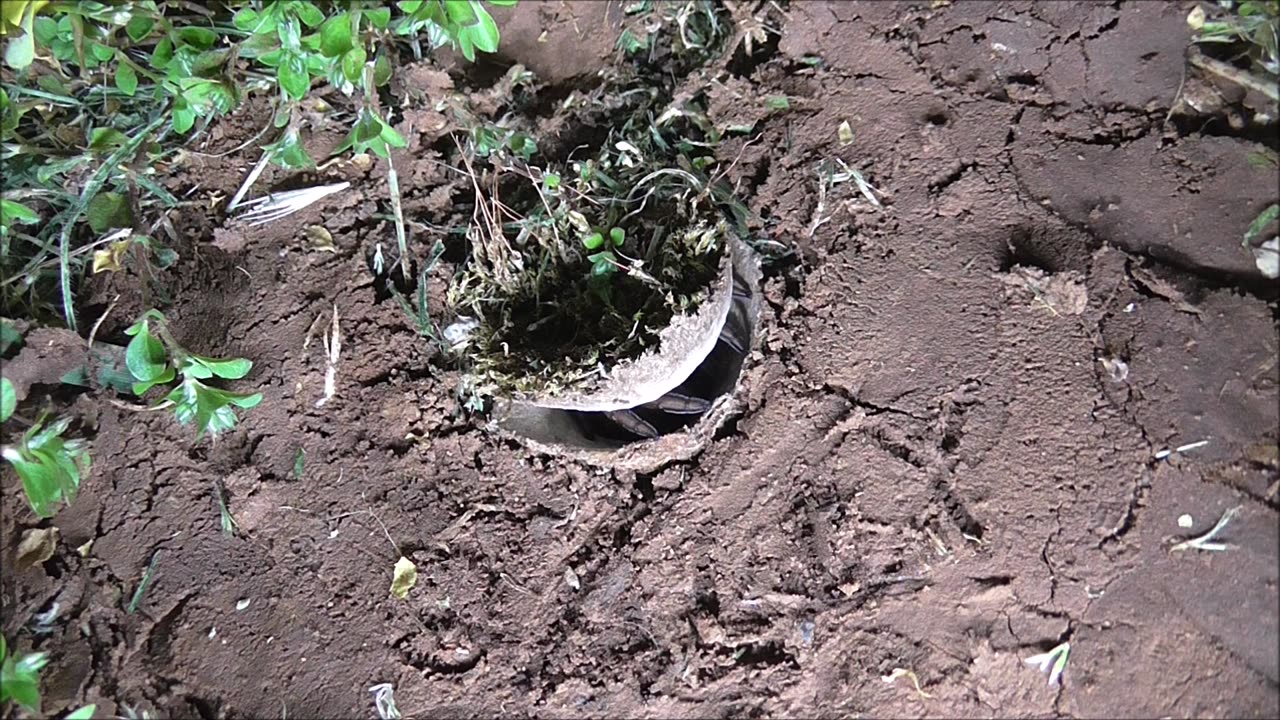 Trapdoor Spider Tests New Killing Floor